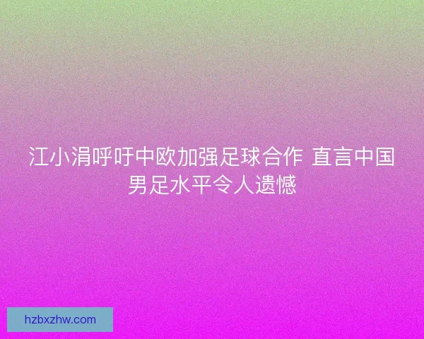 江小涓呼吁中欧加强足球合作 直言中国男足水平令人遗憾